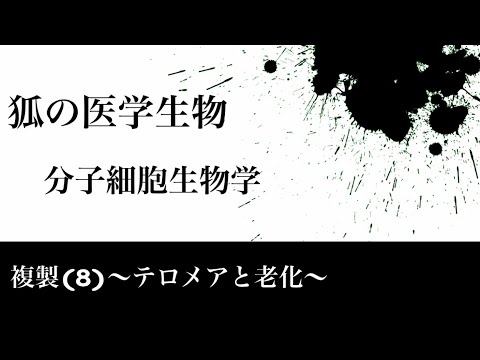 分子細胞生物学21 複製(8)〜テロメアと老化〜