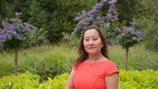 Cheerful Times In Canada Niagara Falls Dej Tsaws Tsag Thiab Vaj Paj