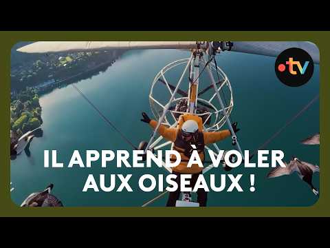 Dominique, the man who teaches wild geese to fly!