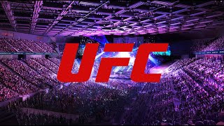 Ufc Ve Mma Nedir? Bilmeniz Gerekenler..