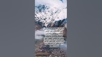 {ألم تر أن الله يسجد له من في السماوات ومن في الأرض}#تلاوة_خاشعة #قرآن #الحج #محمد_اللحيدان #quran