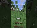 I Hunted for God Items... #minecraft