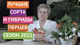 ЭТИ СОРТА ПЕРЦЕВ ТОЧНО НЕ ПОДВЕДУТ! МОЙ ВЫБОР В 2021 ГОДУ!