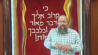 העם והארץ ג, ב-ג - שותפות היחיד במצווה הכללית, מצוות ישיבתה לפרט | הפנינה היומית