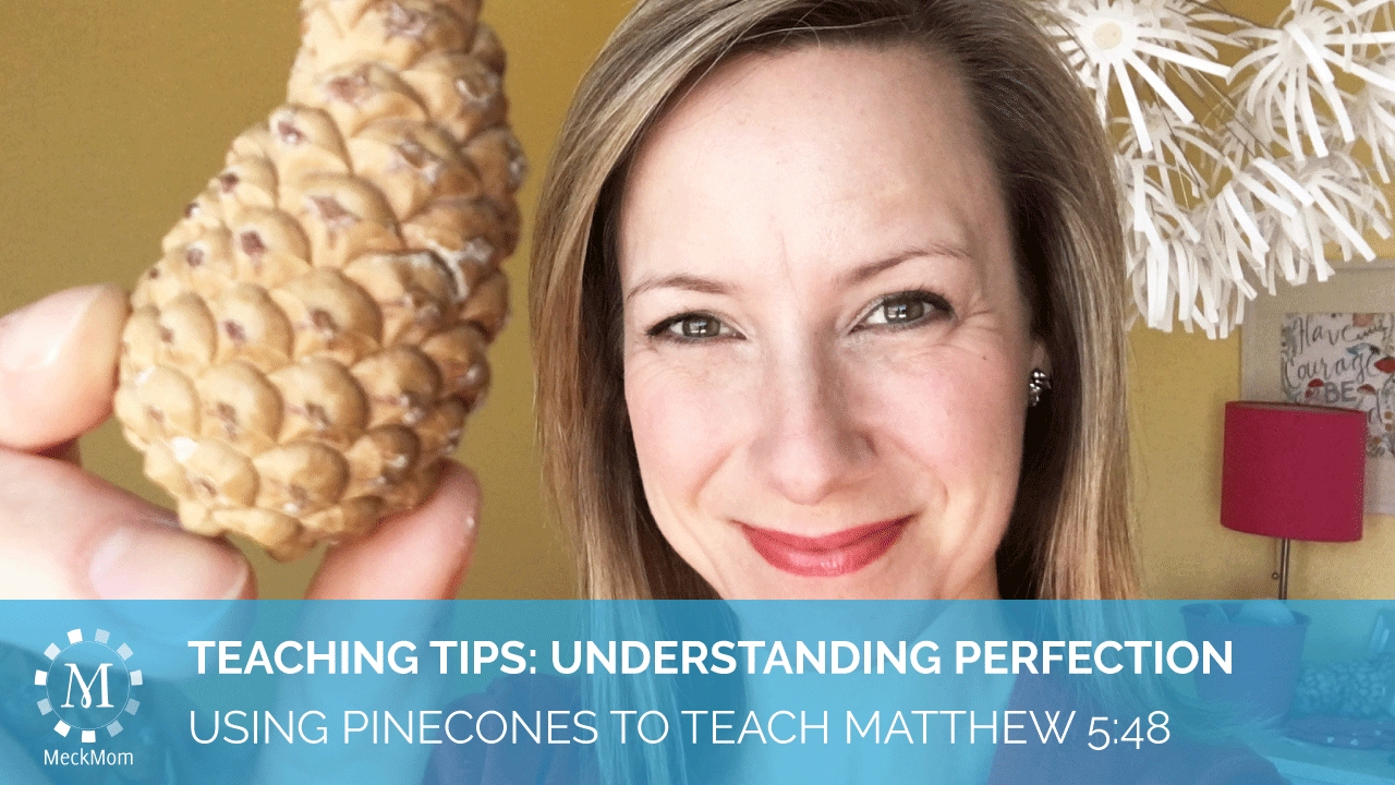 Easy Pinecone Object Lesson for Teaching Perfection and Divine Nature