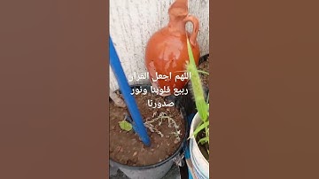 آيات بينات من الذكر الحكيم #اكسبلور