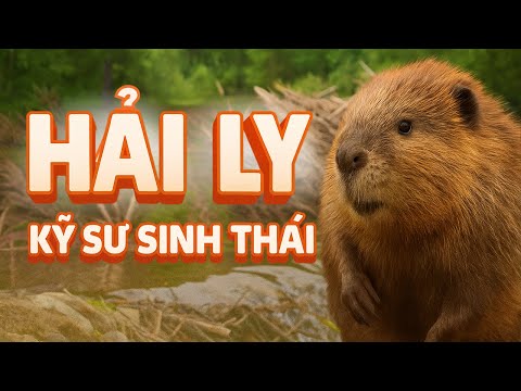 HẢI LY – Kỹ sư sinh thái đại tài thay đổi cả Trái Đất | Ai Là Số 1 | Tập 12