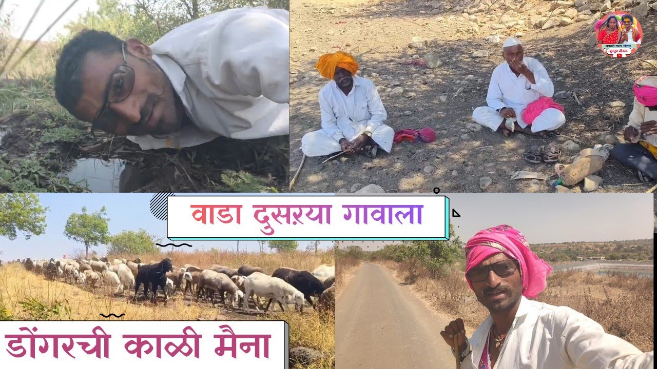 एक महिना पात् चारून राजे केलं  आज शिवार सोडून दुसऱ्या गावाला चालला वाडा