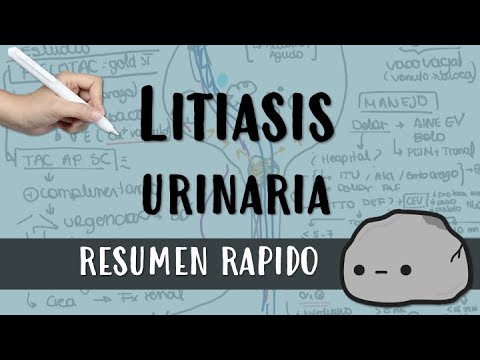 Video: Cálculos Renales (estruvita) En Perros