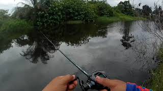 Hanyirkan Reel Daiwa Steez A hlc 2021 screenshot 5