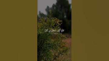 مريم - الآية ٢٩ فَأَشَارَتْ إِلَيْهِ ۖ قَالُوا۟ كَيْفَ نُكَلِّمُ مَن كَانَ فِى ٱلْمَهْدِ صَبِيًّا