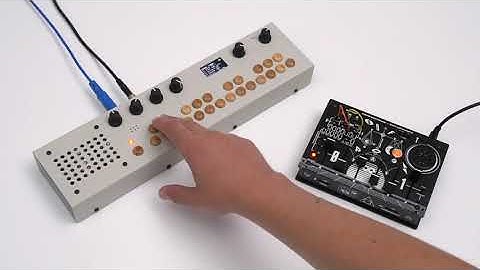 Critter & Guitari - GardenerPops (Organelle x Bastl softPop)