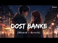 Dost Banke  (Slowed   Reverb) - Rahat Fateh Ali Khan, Gurnazar, Kartik Dev | Anshul3zx