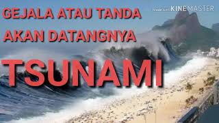 Kenali Gejala Atau Tanda Tanda Akan Terjadinya Tsunami