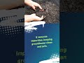 How Soil Naturally Filters Water 💧 #springscientific #farming #soilquality