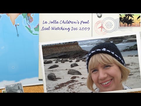 Viewing Seals at Children's Beach in La Jolla Dec 2009