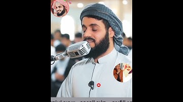 Raad Muhammad Al kurdi Whatsapp status _ سورة إبراهيم الشيخ رعد بن محمد الکردى