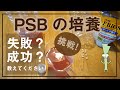 ＰＳＢを自宅で培養する方法！これって、成功しているの？それとも失敗しているの？