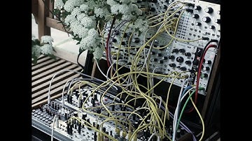 Modular Synth Ambient / Nebulae Marbles Rings Plaits Ensemble Oscillator Mob of Emus #Shorts