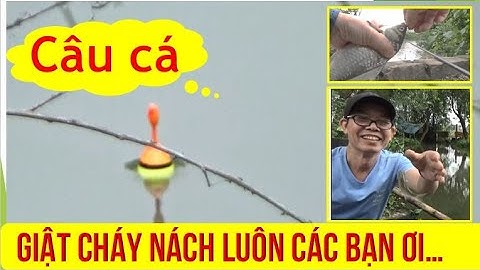 #fishing giật cháy nách luôn các bạn ơi....
