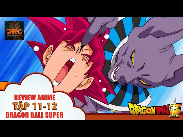 Review Dragon Ball Super 11-12 Thần Mèo Beerus Và Goku Đánh Nhau Như Tấu  Hài 🌈 |Tómtắt Dragon Ball - Youtube