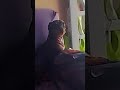 #pet