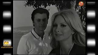 Hayri Şahin - Köşelerde Gizlice (1973)