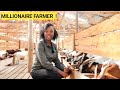How To Make PROFITS In A Simple GOAT Farm Business | Farm Routine 2024