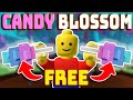FREE Candy Blossom! How to get CANDY BLOSSOM in GROW A GARDEN ✅ Roblox Grow a Garden Codes 2025