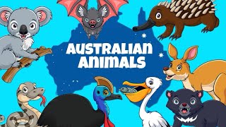 Australian animals names | Learn Australian animals names with pictures @kidslearntime