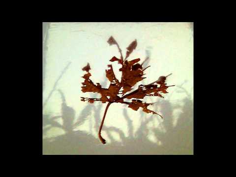 Velojet - A Pop Requiem
