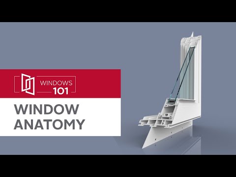 Windows 101: Window