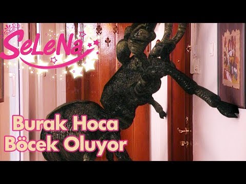 Burak Hoca böcek oluyor