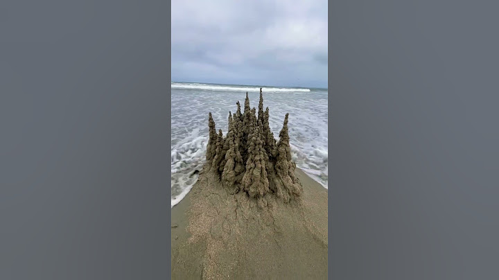Tsunami