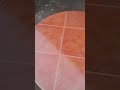 តុមូល