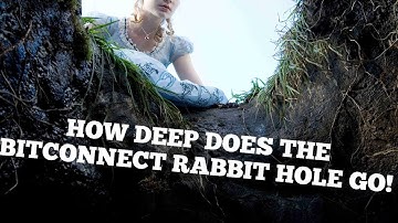 class action lawsuit pt2, bitconnect scam, bitcoin guerrillas deep investigation