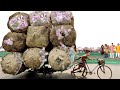 गरिब रिक्शा वाला पैसे Garib Rickshaw Wala Money  Funny Hindi Comedy Video