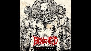 Benighted - Cum with Disgust