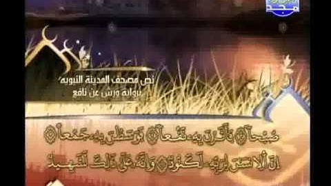 العيون الكوشي - سورة العاديات