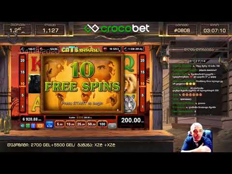 200 ლარიანი ბონუსი : Majestic Forest | CATS ROYAL | GREAT ADVENTURE + Jackpot Cards | - NetEnder -