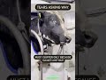 #Cow in #SlaughterHouse - #Tears #asking #Why…? #eat #Plantbased #Go #Vegan