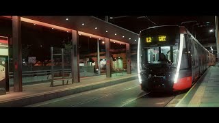 Glorious Lights In Sydney