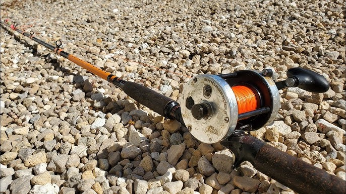 Whisker Seeker Fishing Rod Review: Whisker Stick, GFX, FMJ, Bumpin Stick,  Catfish and Carp Rod 