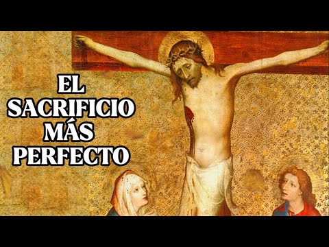 ¿Cuál es el