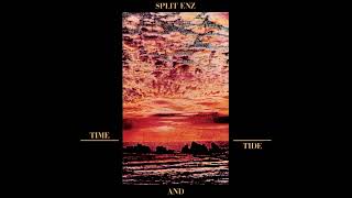 11  SPLIT ENZ 1982 log cabin fever