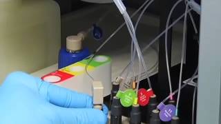 Entire human genome gets broken down in SA Profile