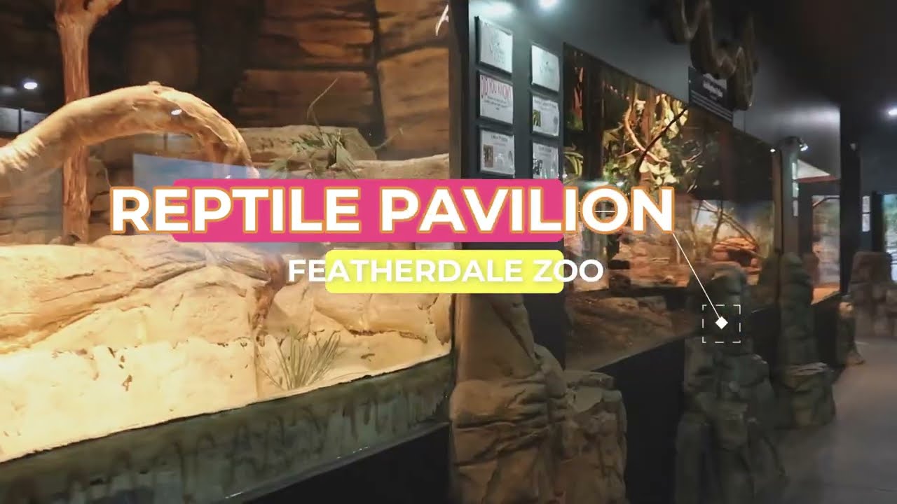 Reptile Pavilion Aussie Zoo Featherdale YouTube