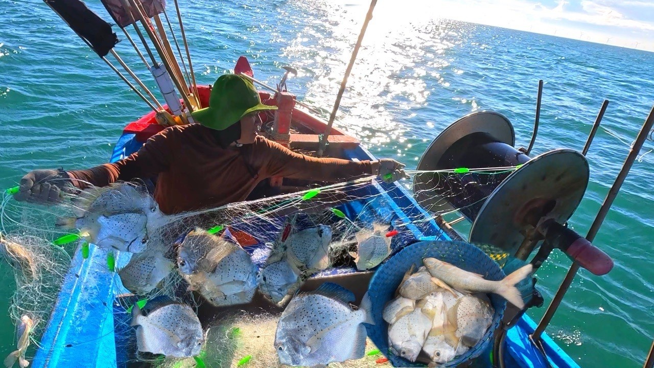MAY MẮN Trúng Cá Bàn Sa Hơn 100Kg_Cá Dính Lưới Chùm Chùm Thấy Mê