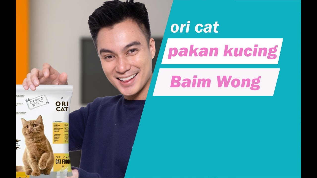 pakan kucing baim wong - YouTube