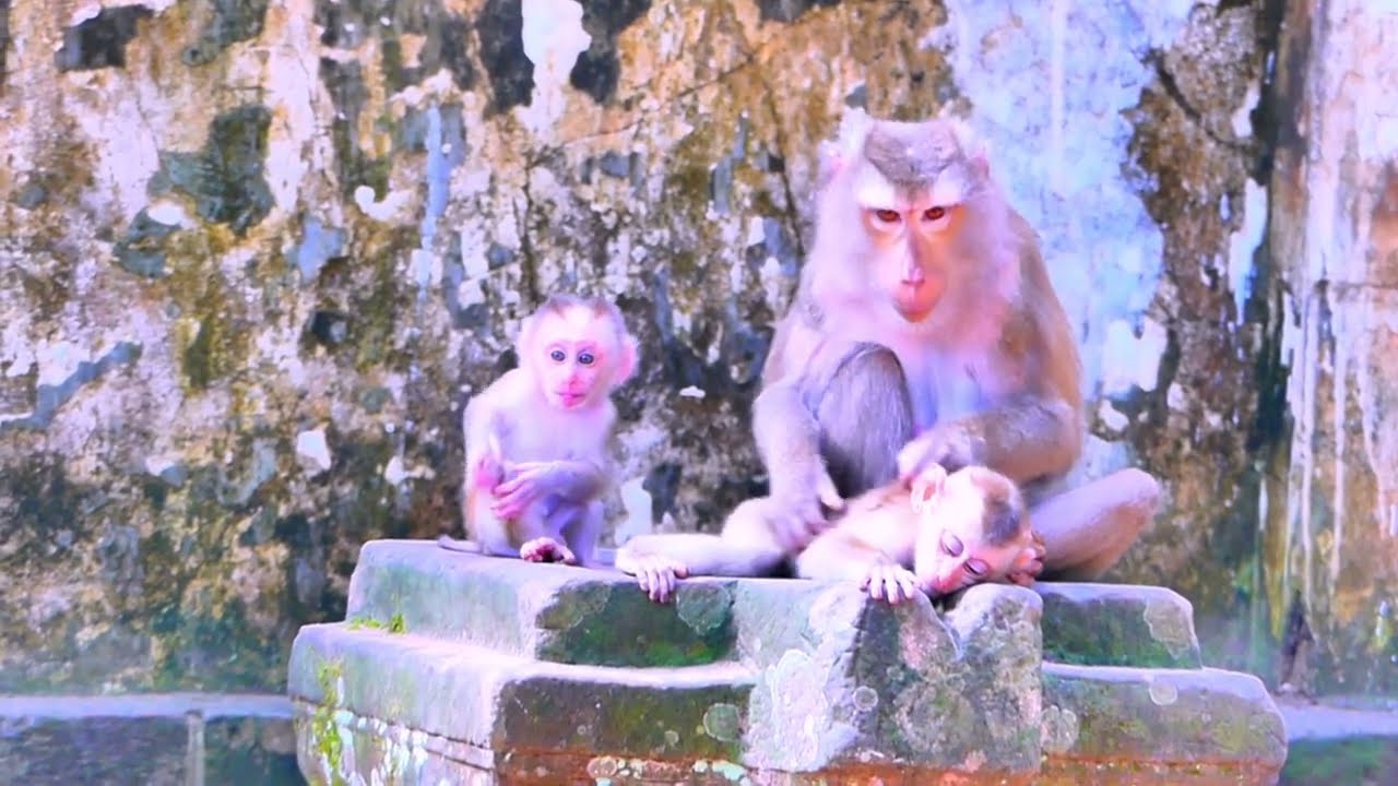 Wow so sweet, baby LEO get best care from mom LIBBY  1080p